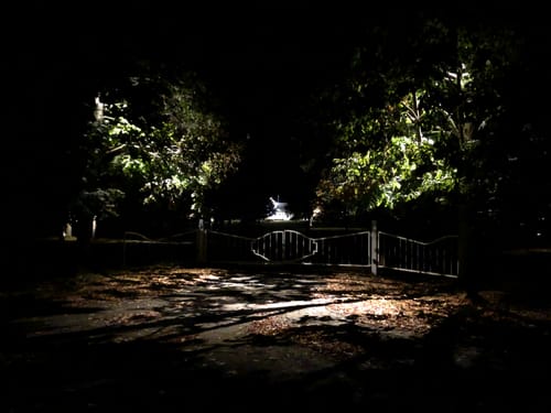 Customer photo review of Adjustable LED Spot Light (SP501B)