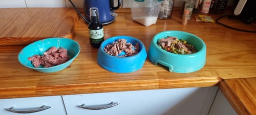 Customer photo review of Hemp Seed Oil for Dogs (200ml)