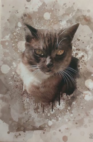 Customer photo review of Aquarell Pawtrait