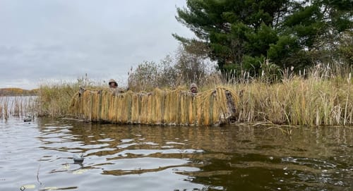 Customer photo review of Hunting Blind Raffia Grass (Pack)