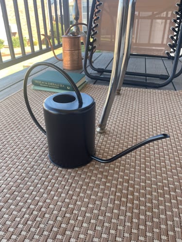 Customer photo review of 2L Stainless Steel Watering Can