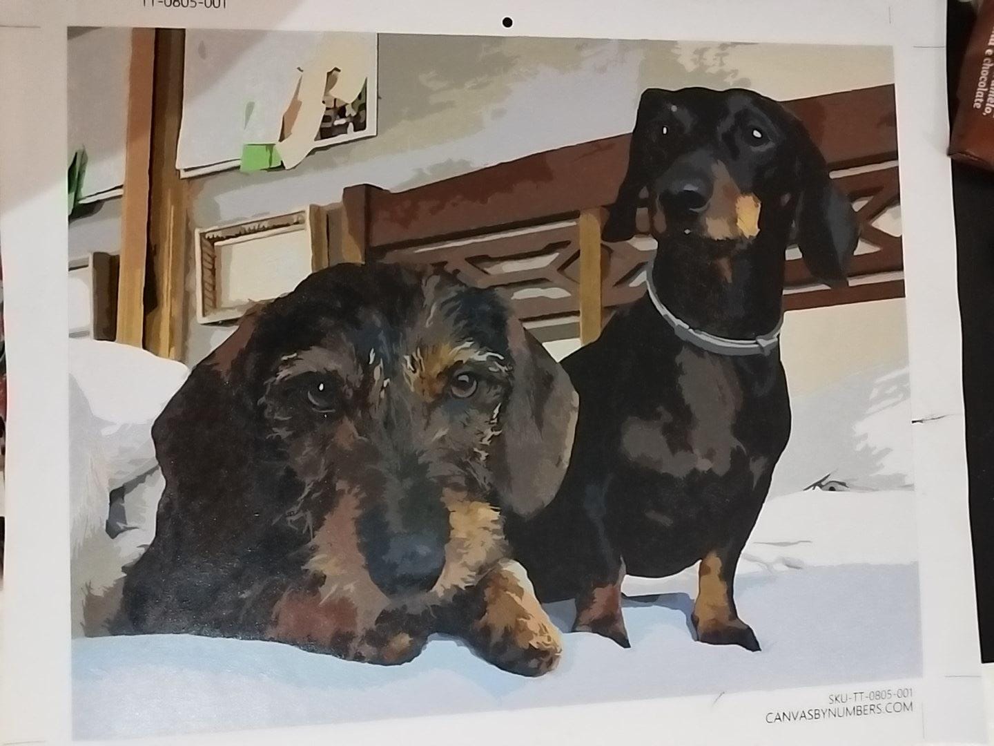 Customer photo review of Pintar por números personalizado | Pinta a tu Mascota | Cuadro personalizado
