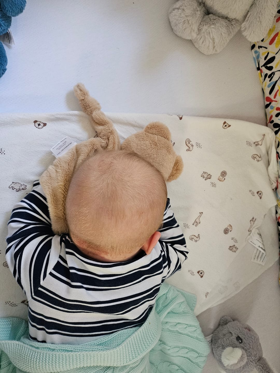 Customer photo review of Bella Tunno x Taking Cara Babies Lovey Bear