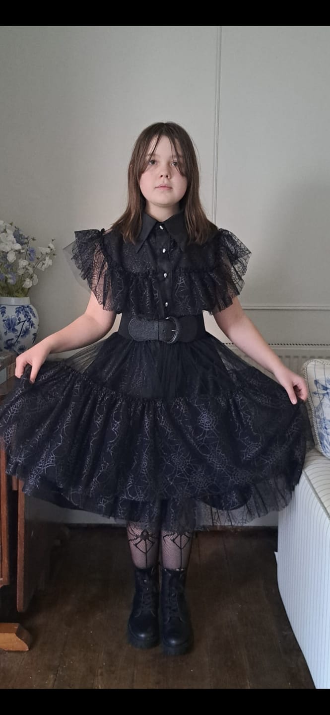 Customer photo review of Spider Web Net Fabric