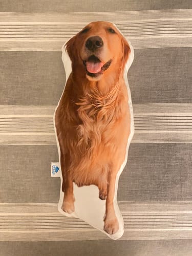 Customer photo review of Create A Custom Dog Pillow
