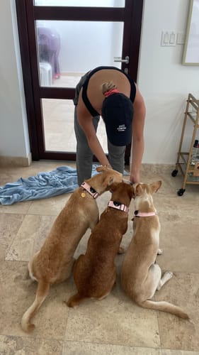 Customer photo review of Keepaws™ Tactical AirTag Collar