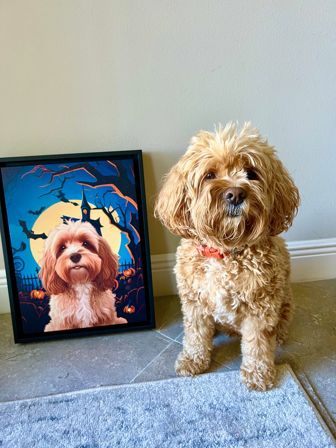 Customer photo review of Custom Pet Portrait