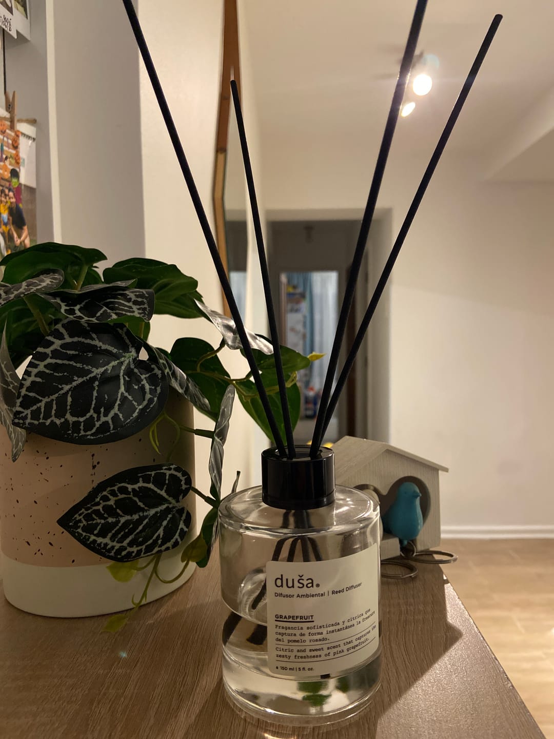 Customer photo review of Grapefruit - Difusor de Varillas  | Difusor Ambiental Para el Hogar y la Oficina | Difusor de Aromas y Ambientadores - 150 ml