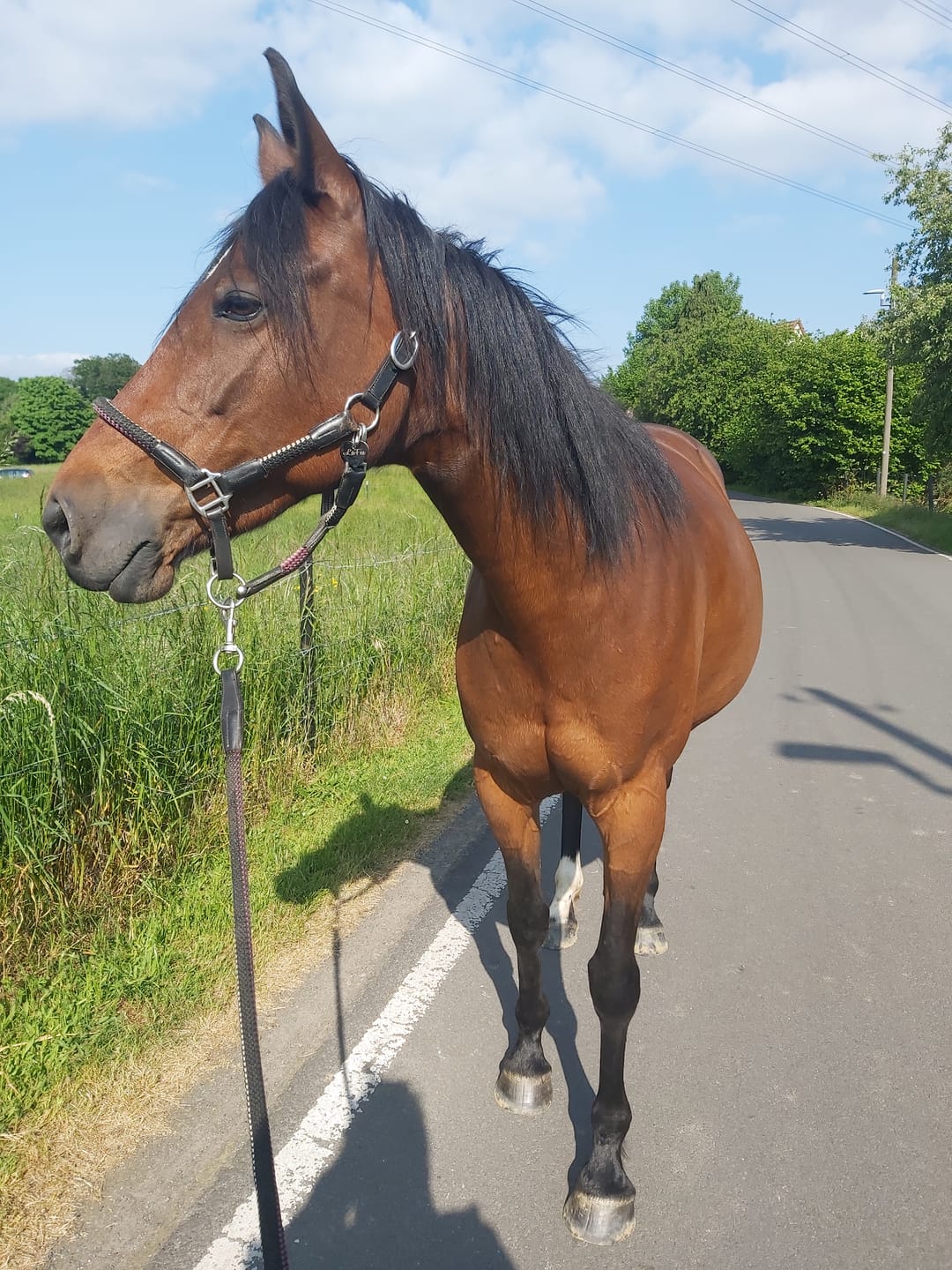 Customer photo review of Kristallkraft Femmina