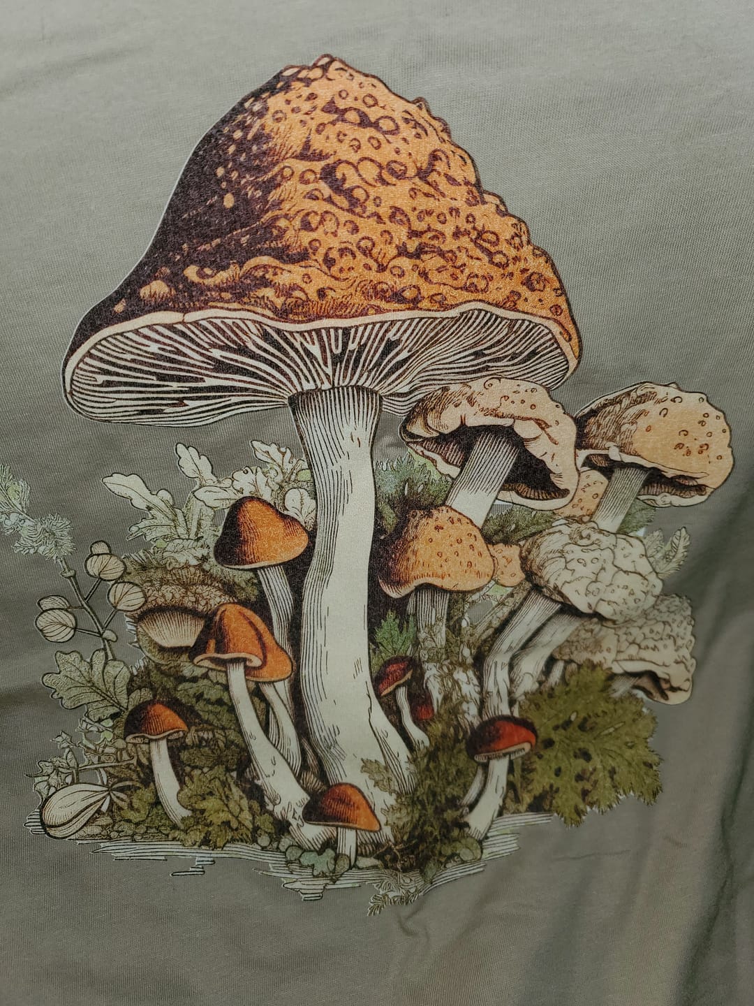 Customer photo review of Womens Cottagecore Aesthetic Mushroom Fields T-Shirt