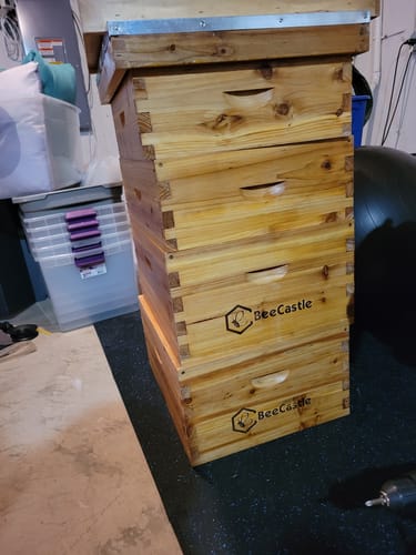 Customer photo review of BeeCastle Hives 10 Frame 4 Layer Complete Cedar Wood Beehive Kit:Designed with 2 Deep Beehive Boxes and 2 Super Bee Boxes,with Premium Wooden Frames and Beeswax Plastic Foundation