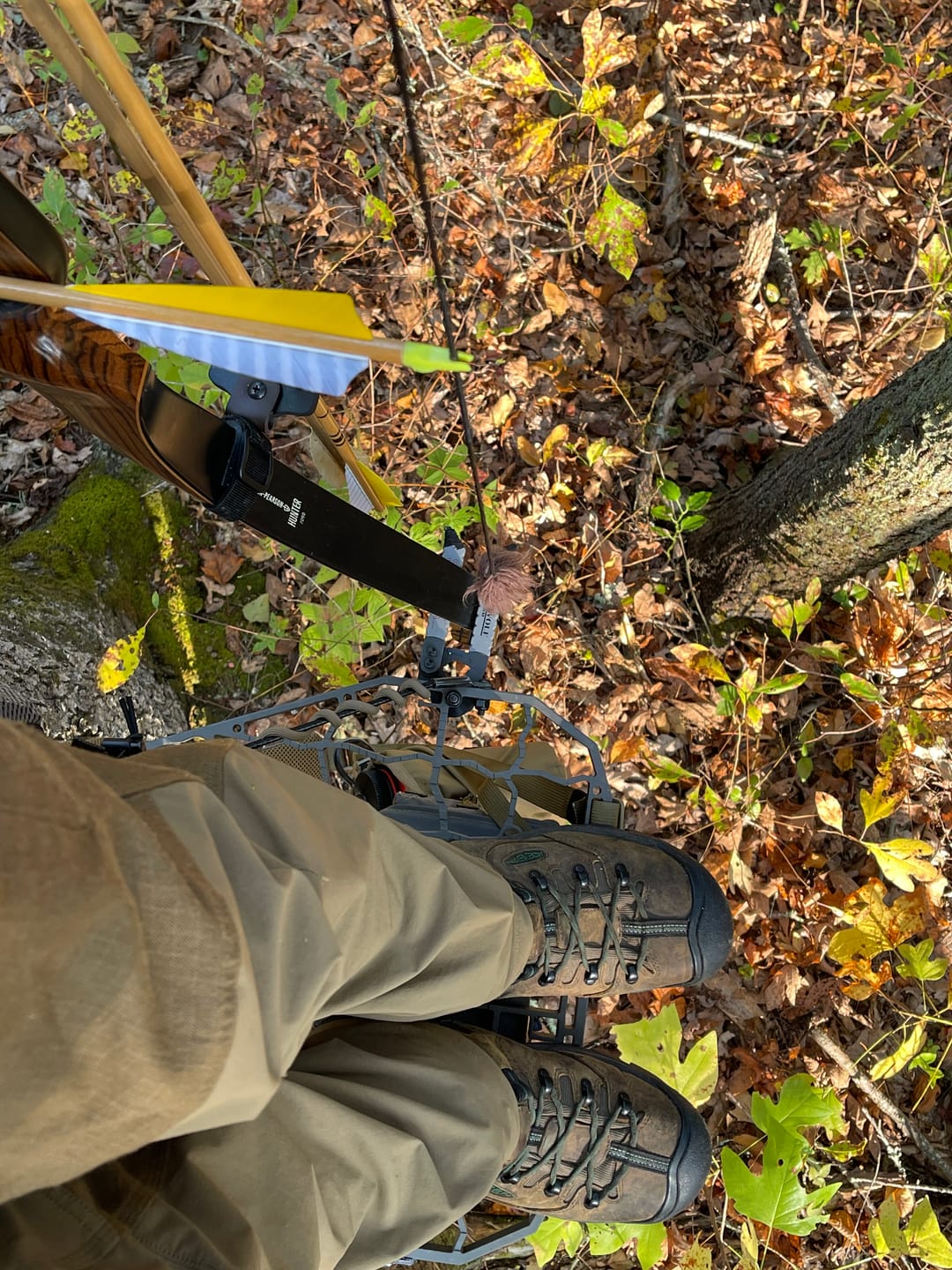 Customer photo review of D'Acquisto Series Hang-On .5 / Public Land Stand ™