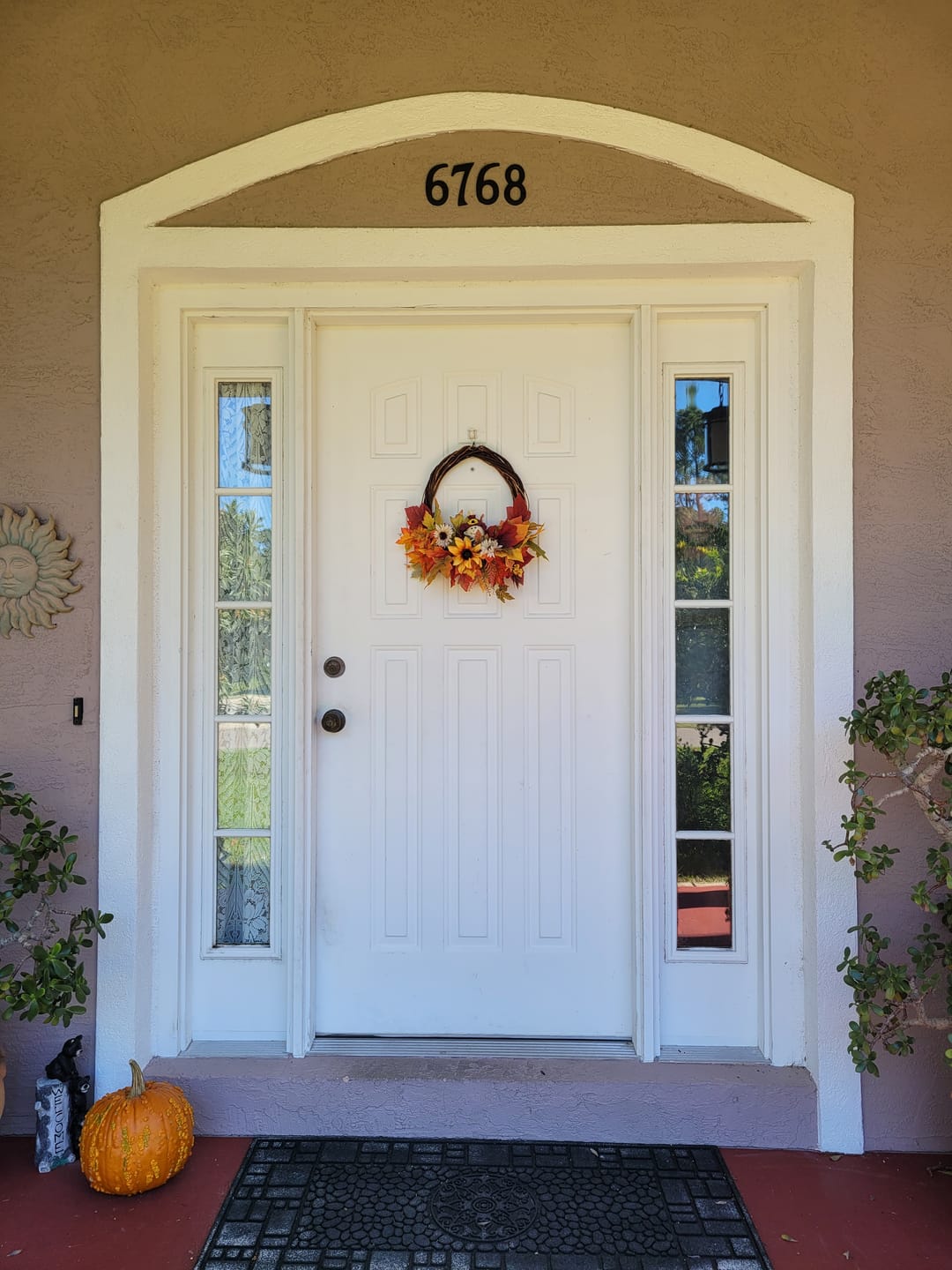 Customer photo review of Clear 1 Lite Glass and Frame Kit (Full Sidelite)