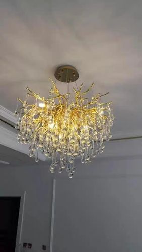 Customer photo review of JC Doris Branch Crystal Chandelier Light