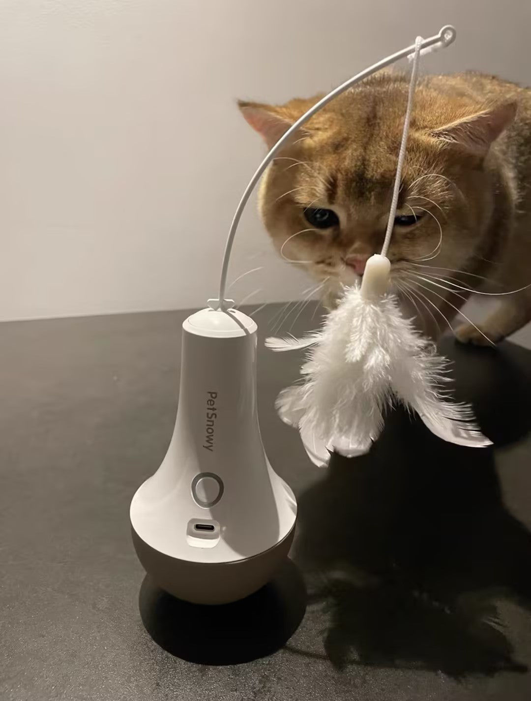 Customer photo review of Roly Poly Cat Toy