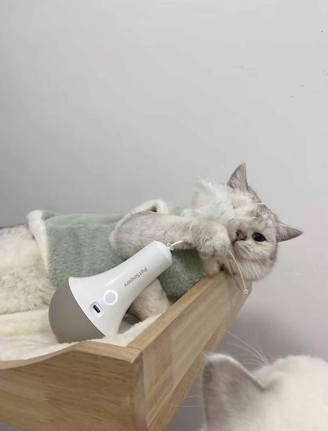 Customer photo review of Roly Poly Cat Toy