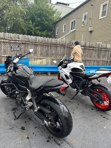 Customer photo review of [Preorder] Yamaha R7