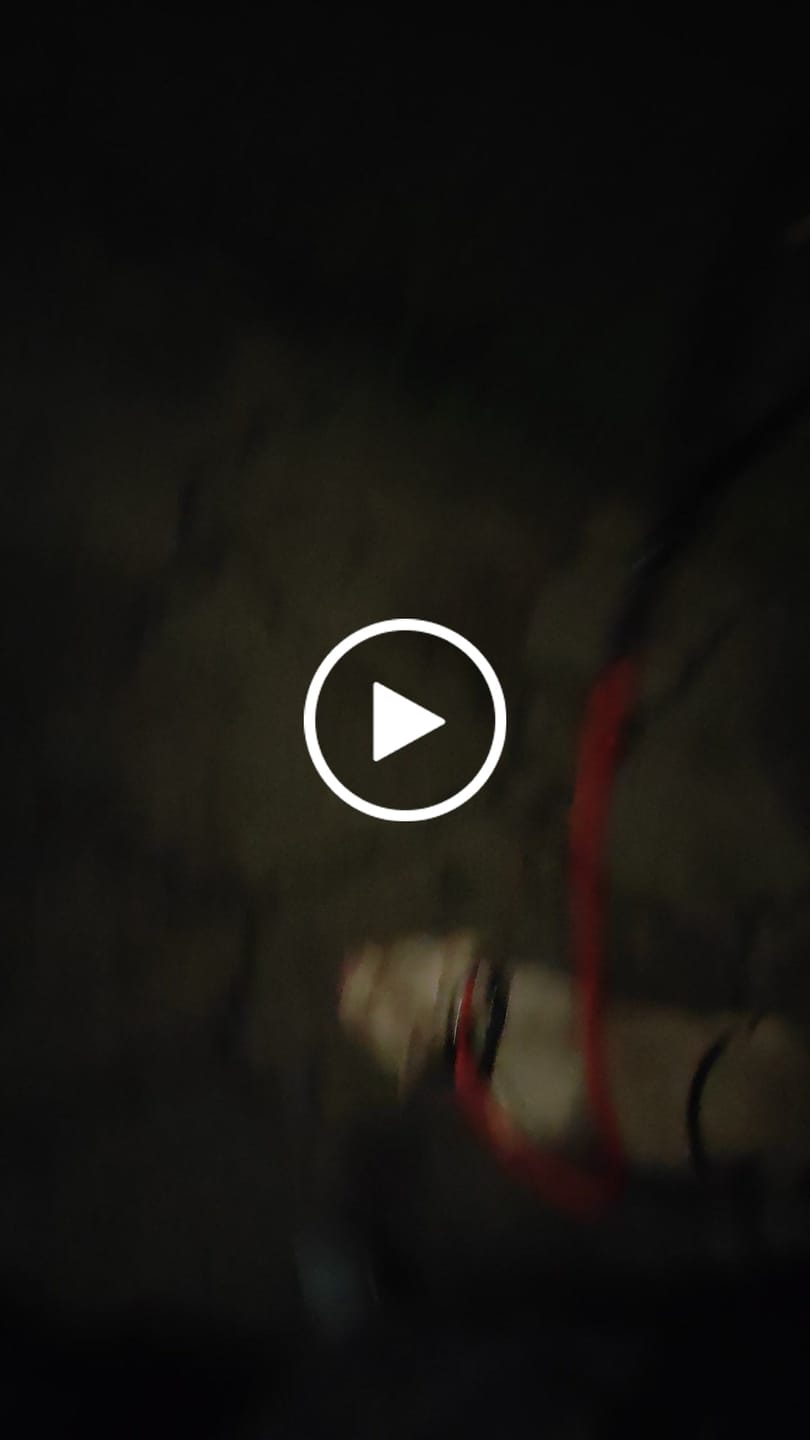 Customer video review of Slip Lead | Anti-Pull & Anti-Choking Training Lead - Red