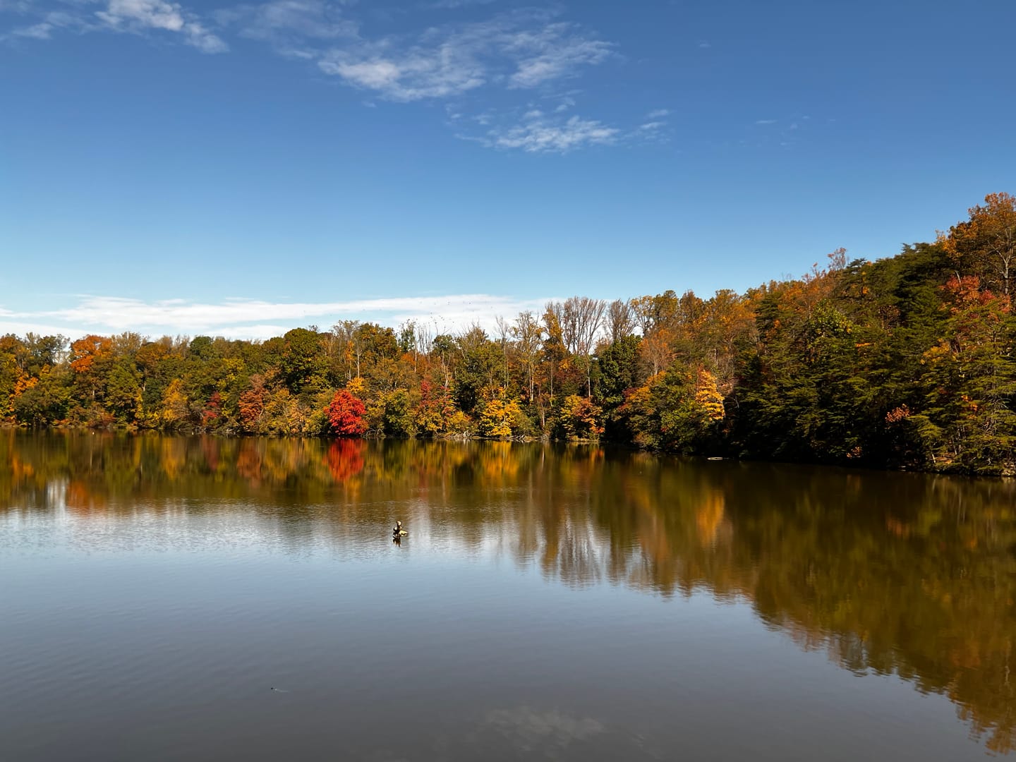 Customer photo review of Pro Series 1.7X Telephoto Lens