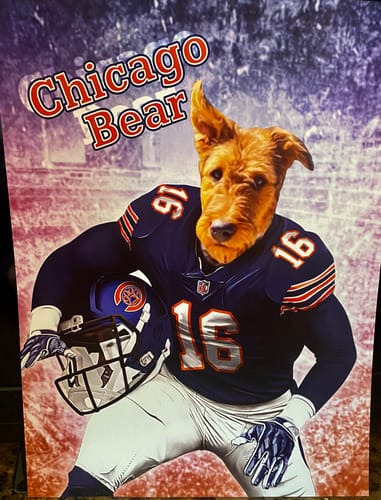 Customer photo review of 'Chicago Doggos' Personalized Pet Poster