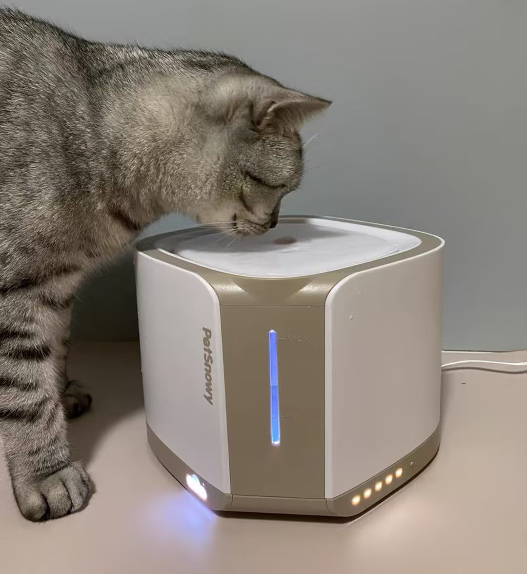 Customer photo review of Pet Water Fountain