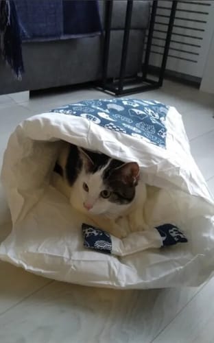 Customer photo review of Lit Douillet pour Chat et Petits Animaux