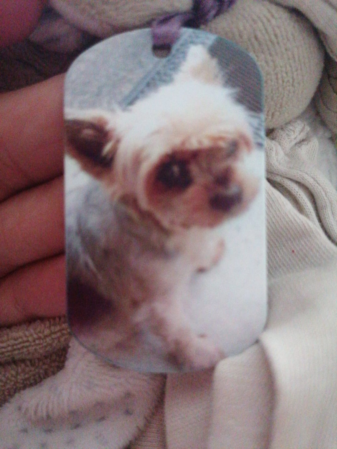 Customer photo review of Ne pleure pas - Porte-clés Dog Tag personnalisé