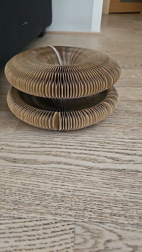 Customer photo review of Stretch-It Magic Cardboard Toy