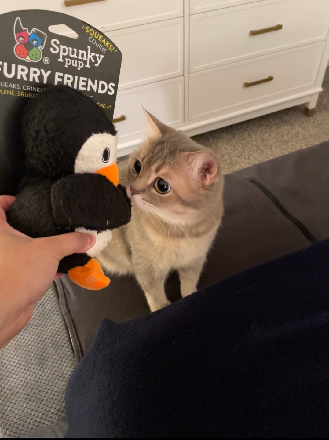 Customer photo review of Furry Friends Plush Toys