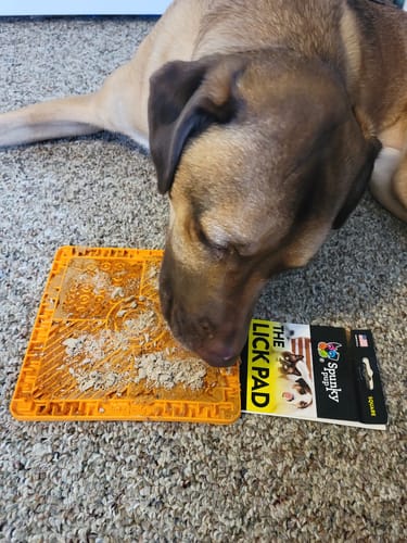 Customer photo review of The Lick Pad - USA Made