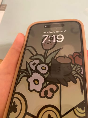 Customer photo review of UltraGlass Screen Protector for iPhone