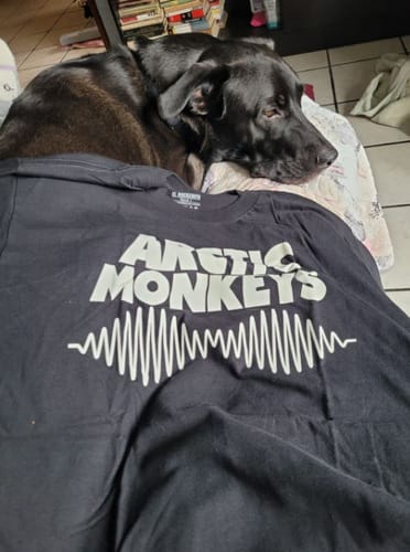 Customer photo review of Playera Arctic Monkeys Logo