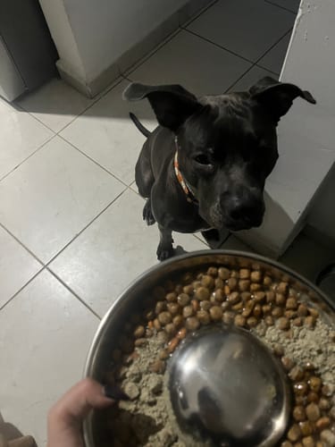 Customer photo review of Serenity Kit