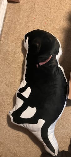 Customer photo review of Create A Custom Dog Pillow