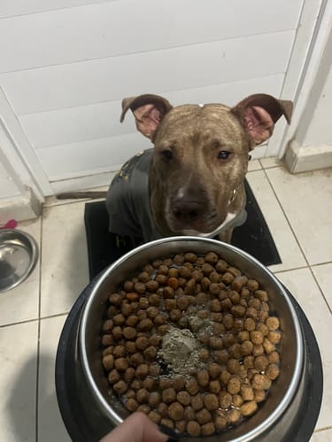 Customer photo review of Serenity Kit