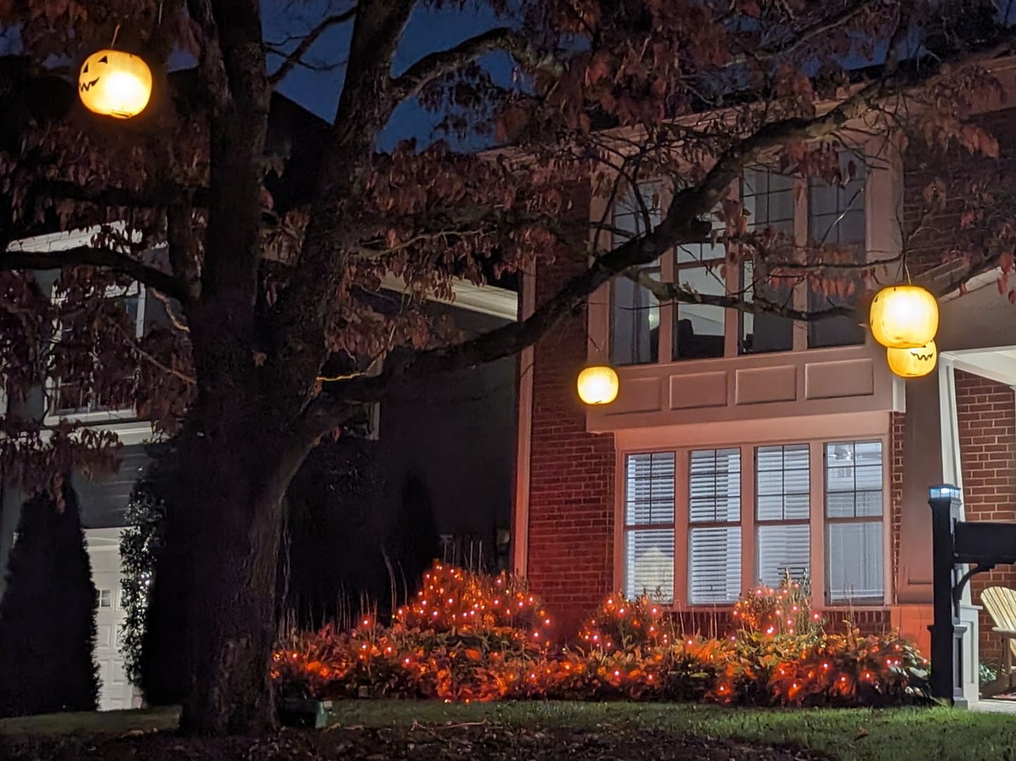 Customer photo review of 25FT Black Weatherproof Outdoor Pendant Light Lamp Cord Kit, E12 C7 Base
