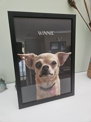 Customer photo review of One-Pet Portrait