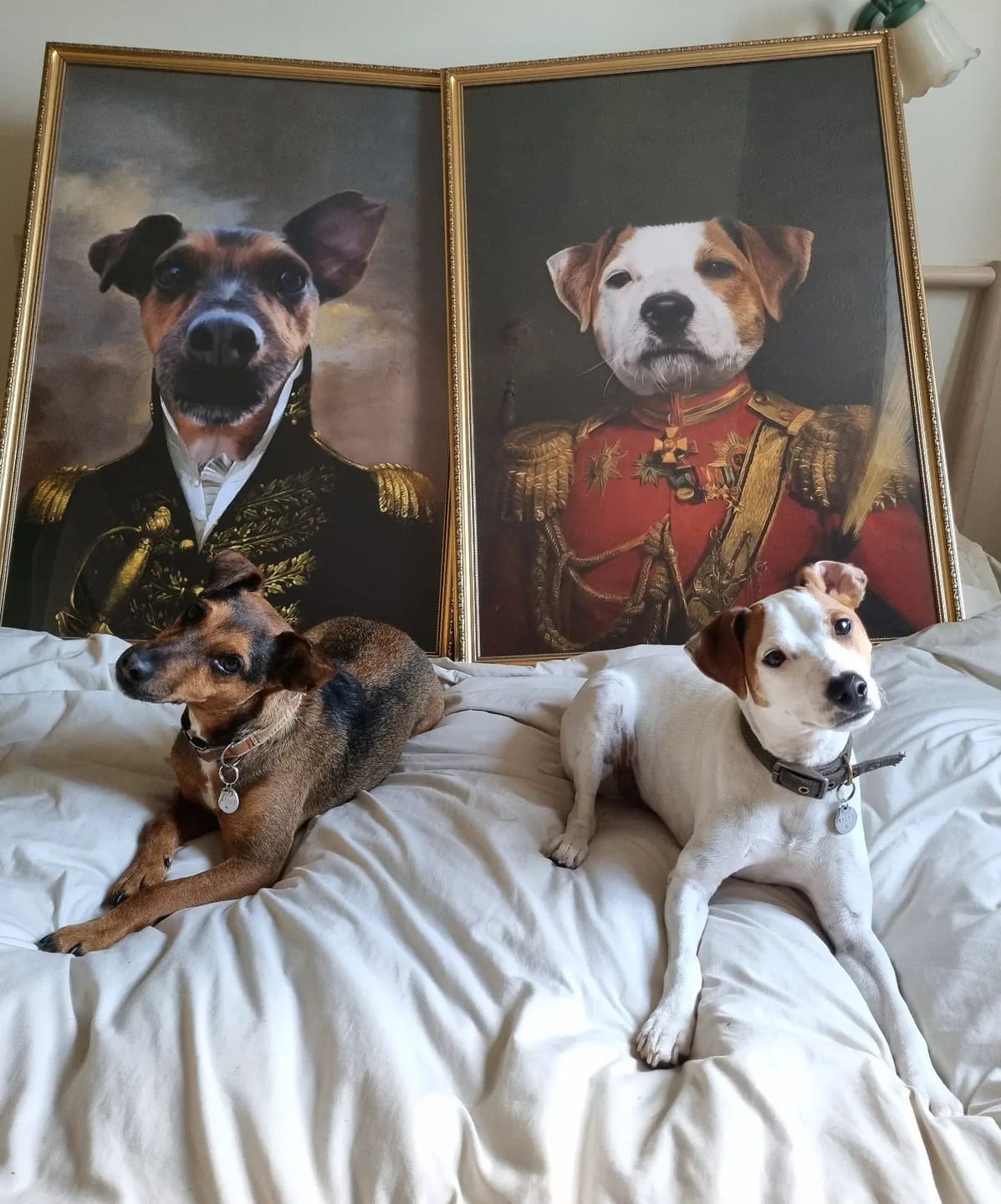 Customer photo review of The Duke: Custom Pet Portrait