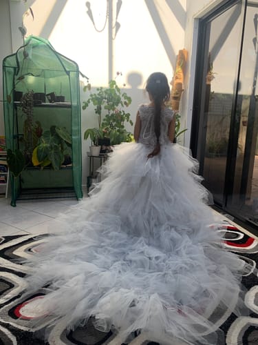 Customer photo review of Girl Pageant Princess Dresses Baby Girl Tail Fluffy Embroidery Birthday Party Formal Dress