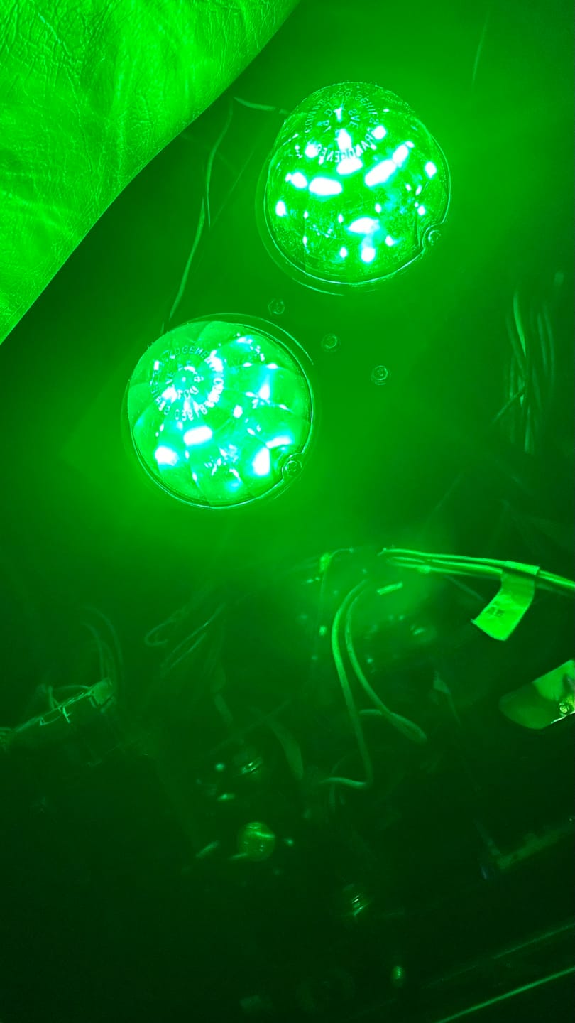 Customer photo review of CLASSIC WATERMELON SURFACE MOUNT LED LIGHT TURN/MARKER LIGHTS