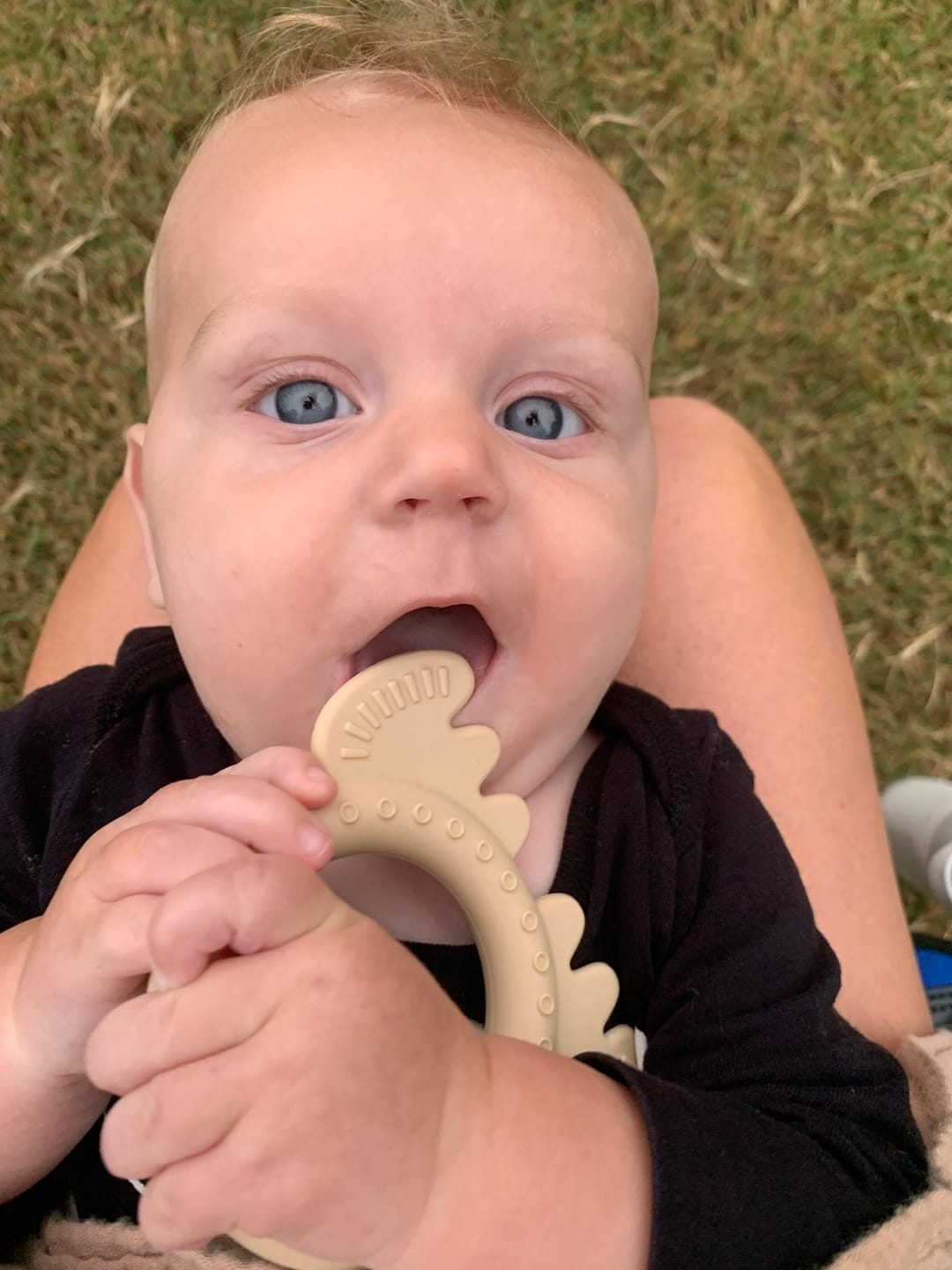 Customer photo review of Moose Rattle Teether