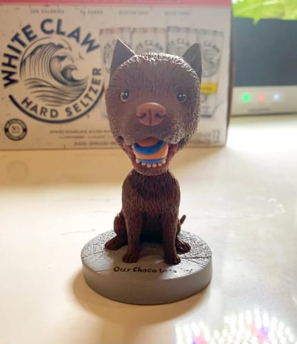 Customer photo review of Fully Customizable One Pet Sculpture Custom Dog Statue