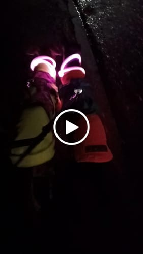Customer video review of Rechargeable Light-Up Dog Safety Collars