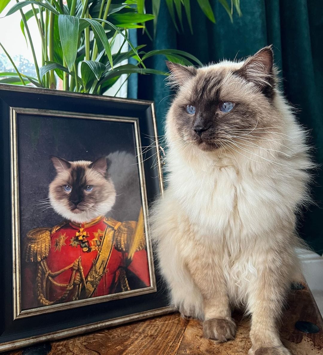 Customer photo review of The Duke: Custom Pet Portrait