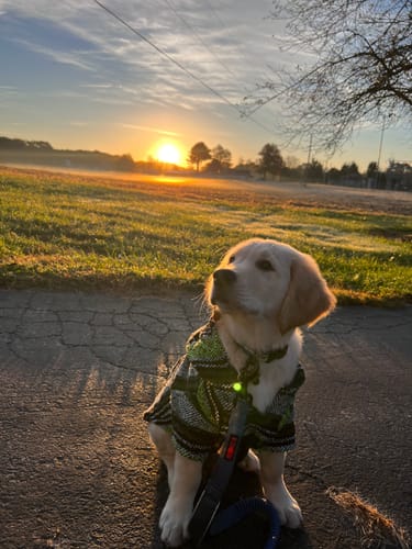 Customer photo review of Playa Poncho - Surprise Color