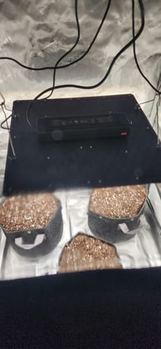 Customer photo review of bio365 BIOFLOWER 1.5cf