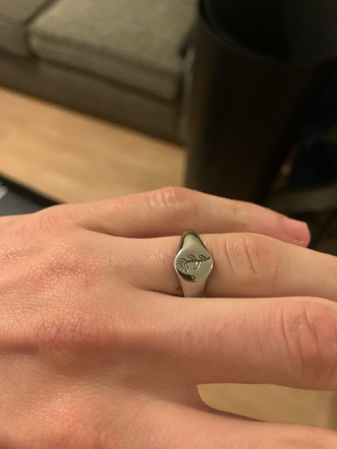 Customer photo review of ROSE SILVER.