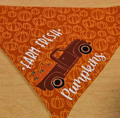 Customer photo review of Farm Fresh DTF Transfer