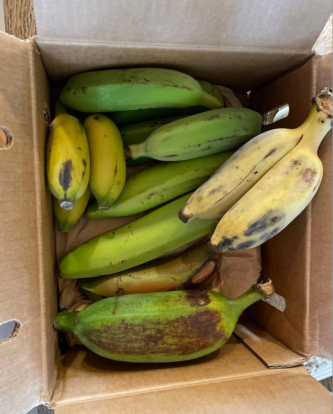Customer photo review of Banana Variety Box