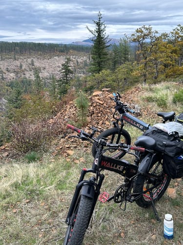Customer photo review of 2025 Wallke X3 Max Folding 2800W Electric Bike